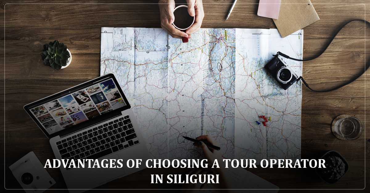 Advantages of choosing a tour operator in Siliguri