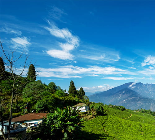 1N Gangtok 1N Lachung 3N Gangtok 2N Pelling